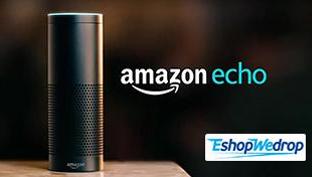 ''The Amazon Echo''