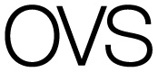 www.ovs.it